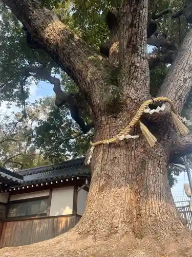 阿保神社(大阪府)