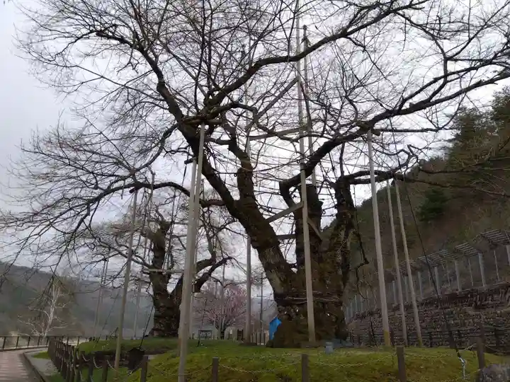 御母衣電源神社(岐阜県)