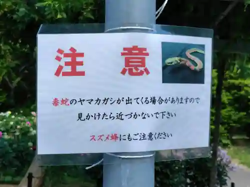 金蛇水神社(宮城県)