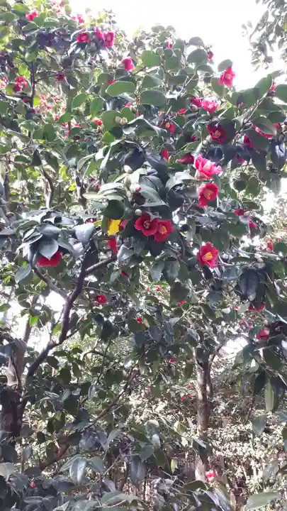 城南宮(京都府)