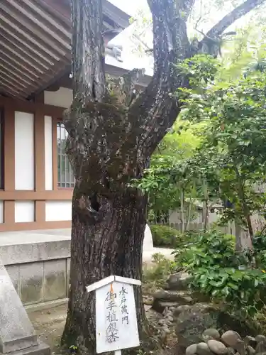 多田神社の庭園