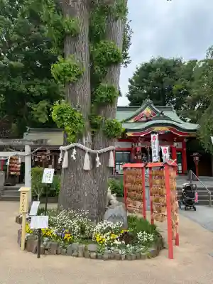 川越八幡宮の{uncategorized: "未分類", other: "その他", undefined: "問題あり", building: "その他建物", grave: "お墓", sacred_gate: "鳥居", guardian: "狛犬", statue: "像", buddha: "仏像", history: "歴史", nature: "自然", garden: "庭園", animal: "動物", pagoda: "塔", temizu: "手水舎", mountain_gate: "山門・神門", sanctuary: "本殿・本堂", subordinate: "末社・摂社", art: "芸術", scenery: "景色", jizo: "地蔵", ema: "絵馬", goshuin: "御朱印", omikuji: "おみくじ", items: "授与品その他", amulet: "お守り", goshuincho: "御朱印帳", eats: "食事", festival: "お祭り", votive_dance: "神楽", shichigosan: "七五三参", wedding: "結婚式", experience: "体験その他", initially: "初詣", around: "周辺", anti_infection: "感染症対策"}