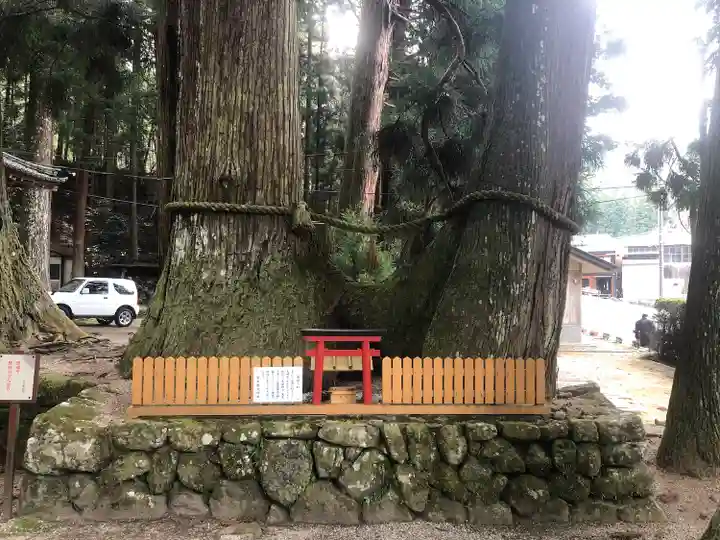 室生龍穴神社の自然