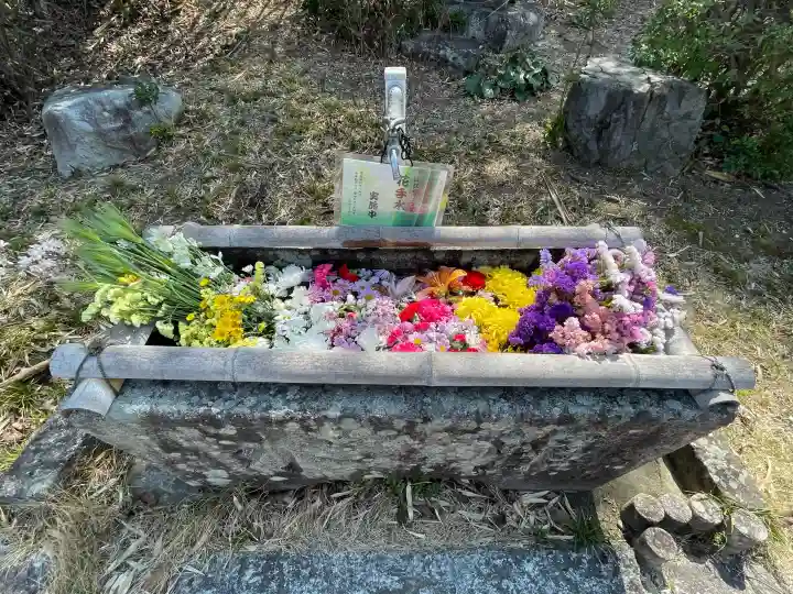 彰見寺の{uncategorized: "未分類", other: "その他", undefined: "問題あり", building: "その他建物", grave: "お墓", sacred_gate: "鳥居", guardian: "狛犬", statue: "像", buddha: "仏像", history: "歴史", nature: "自然", garden: "庭園", animal: "動物", pagoda: "塔", temizu: "手水舎", mountain_gate: "山門・神門", sanctuary: "本殿・本堂", subordinate: "末社・摂社", art: "芸術", scenery: "景色", jizo: "地蔵", ema: "絵馬", goshuin: "御朱印", omikuji: "おみくじ", items: "授与品その他", amulet: "お守り", goshuincho: "御朱印帳", eats: "食事", festival: "お祭り", votive_dance: "神楽", shichigosan: "七五三参", wedding: "結婚式", experience: "体験その他", initially: "初詣", around: "周辺", anti_infection: "感染症対策"}