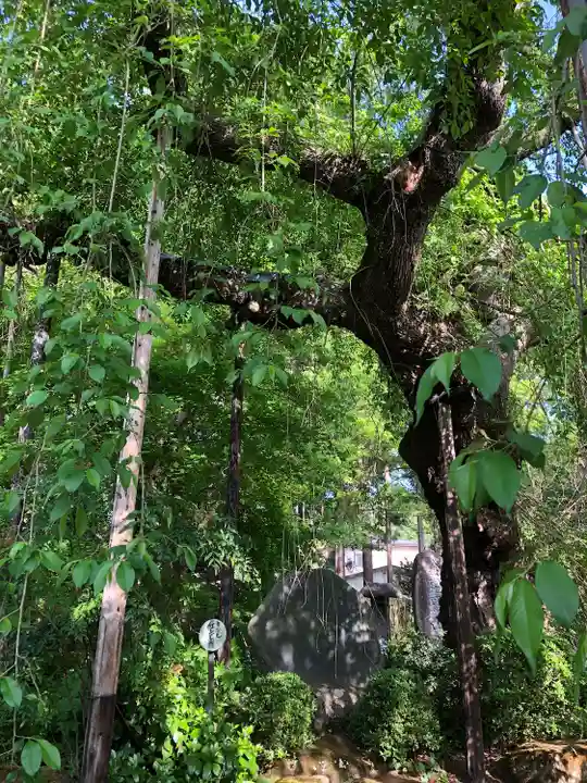 平泉寺(山形県)