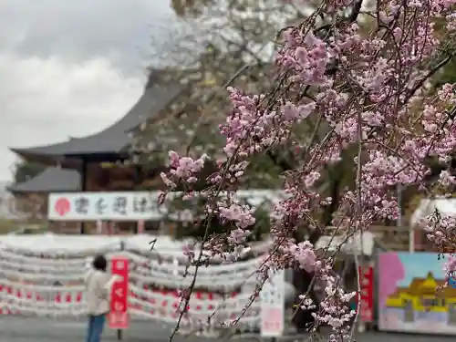 富知六所浅間神社の自然