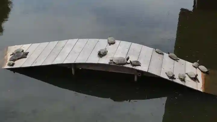 善光寺大勧進(長野県)