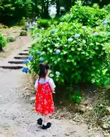 浄土寺(兵庫県)