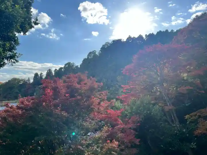 柳谷観音 楊谷寺(京都府)