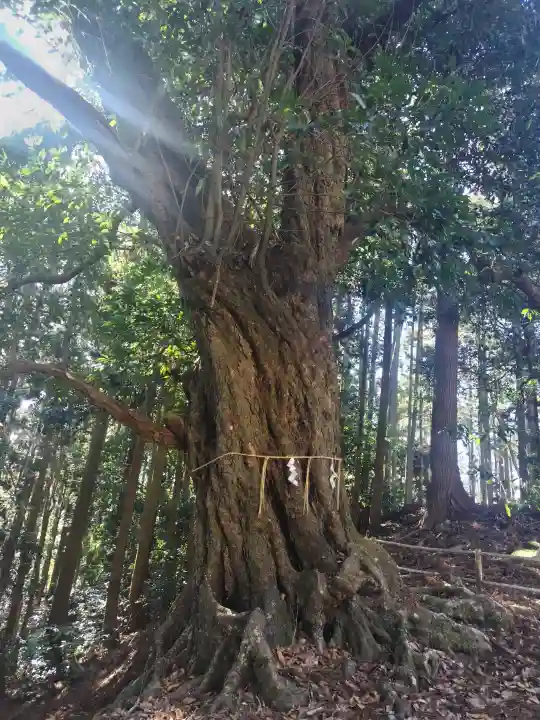鹿島天足別神社の{uncategorized: "未分類", other: "その他", undefined: "問題あり", building: "その他建物", grave: "お墓", sacred_gate: "鳥居", guardian: "狛犬", statue: "像", buddha: "仏像", history: "歴史", nature: "自然", garden: "庭園", animal: "動物", pagoda: "塔", temizu: "手水舎", mountain_gate: "山門・神門", sanctuary: "本殿・本堂", subordinate: "末社・摂社", art: "芸術", scenery: "景色", jizo: "地蔵", ema: "絵馬", goshuin: "御朱印", omikuji: "おみくじ", items: "授与品その他", amulet: "お守り", goshuincho: "御朱印帳", eats: "食事", festival: "お祭り", votive_dance: "神楽", shichigosan: "七五三参", wedding: "結婚式", experience: "体験その他", initially: "初詣", around: "周辺", anti_infection: "感染症対策"}