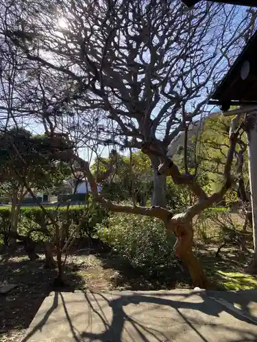 金龍寺(神奈川県)