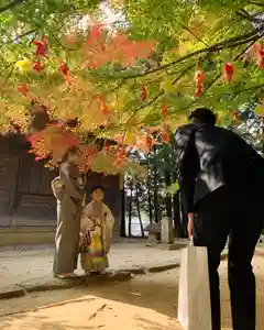 滑川神社 - 仕事と子どもの守り神の七五三参(2023年11月18日(土) 08時55分05秒投稿)