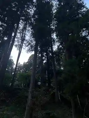 大宮温泉神社(栃木県)