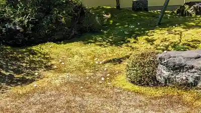 東林院(京都府)