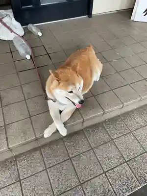 笠䅣稲荷神社(神奈川県)