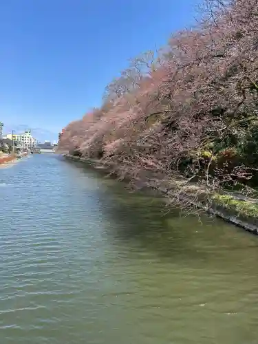 射水神社の景色