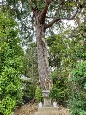 櫨谷神社のその他建物