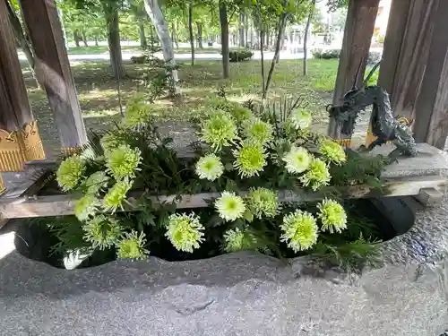 彌彦神社　(伊夜日子神社)の手水舎
