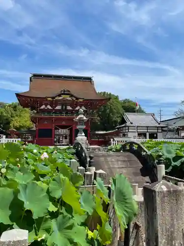 伊賀八幡宮の山門