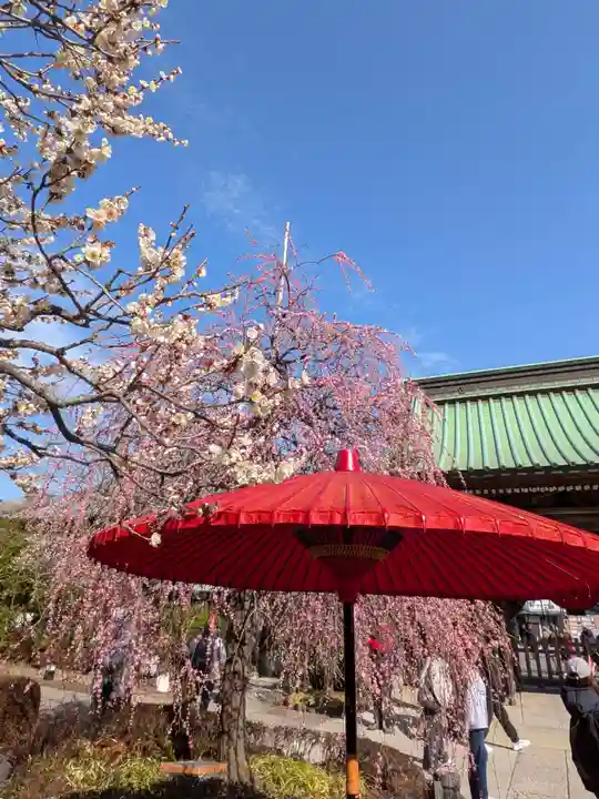 長谷寺(神奈川県)