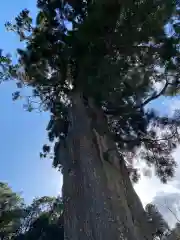 普門寺(切り絵御朱印発祥の寺)(愛知県)