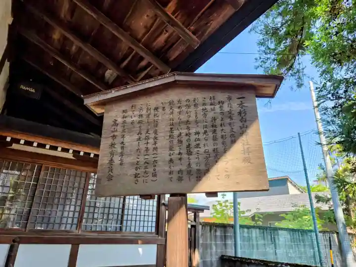 一本杉白山神社(岐阜県)