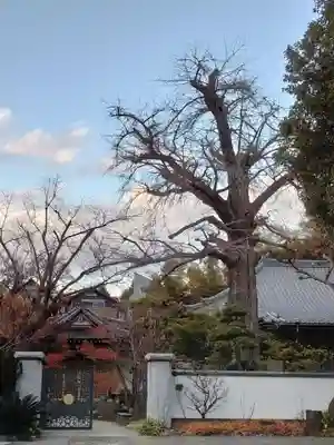 法華寺のその他建物