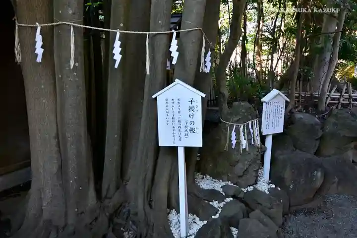 検見川神社の自然