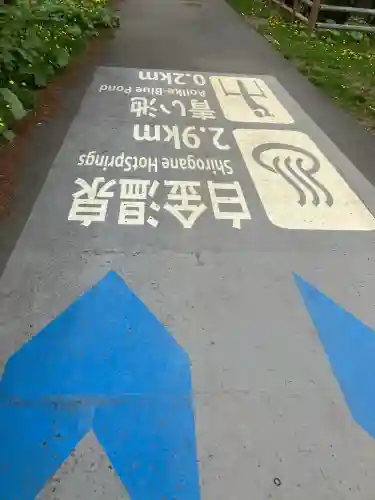 美瑛神社の周辺