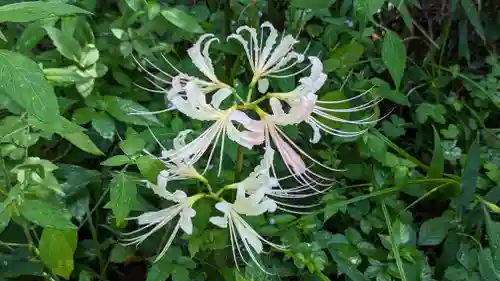 平野神社(京都府)