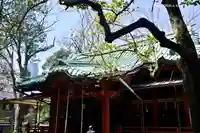 赤坂氷川神社の本殿・本堂