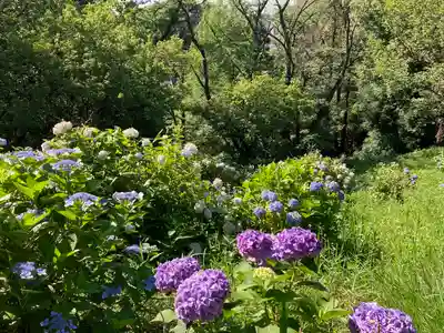 天台宗　長窪山　正覚寺(神奈川県)