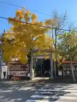 波除神社(波除稲荷神社)の自然