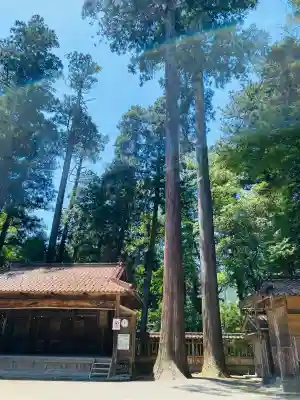 伊和神社の{uncategorized: "未分類", other: "その他", undefined: "問題あり", building: "その他建物", grave: "お墓", sacred_gate: "鳥居", guardian: "狛犬", statue: "像", buddha: "仏像", history: "歴史", nature: "自然", garden: "庭園", animal: "動物", pagoda: "塔", temizu: "手水舎", mountain_gate: "山門・神門", sanctuary: "本殿・本堂", subordinate: "末社・摂社", art: "芸術", scenery: "景色", jizo: "地蔵", ema: "絵馬", goshuin: "御朱印", omikuji: "おみくじ", items: "授与品その他", amulet: "お守り", goshuincho: "御朱印帳", eats: "食事", festival: "お祭り", votive_dance: "神楽", shichigosan: "七五三参", wedding: "結婚式", experience: "体験その他", initially: "初詣", around: "周辺", anti_infection: "感染症対策"}