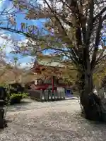 山城ゑびす神社のその他建物