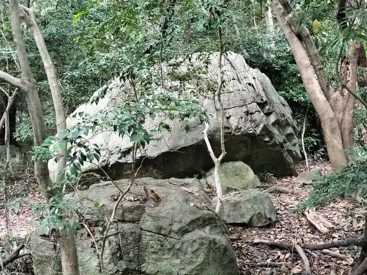 保久良神社の自然