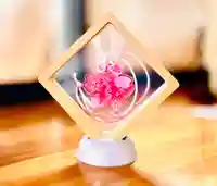 枠は付属しません