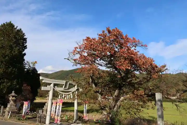 高司神社〜むすびの神の鎮まる社〜の鳥居
