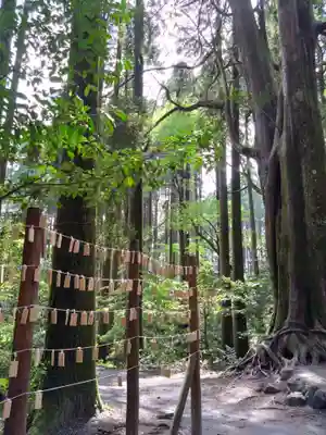 山神社(鹿児島県)