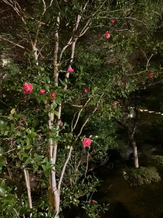 円通寺(栃木県)