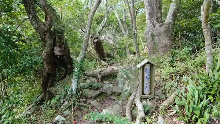 雲見浅間神社の周辺