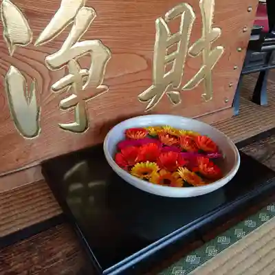 治寶山　浄泉寺の手水舎