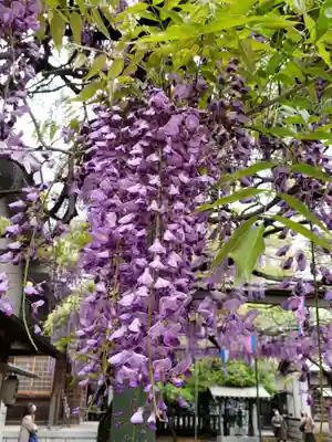 國領神社(東京都)