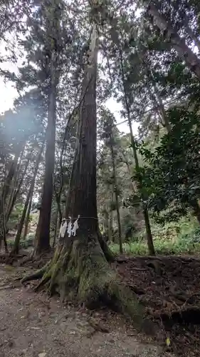 日吉大社(滋賀県)