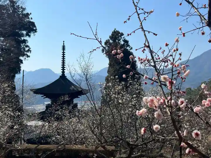国宝 大法寺(長野県)