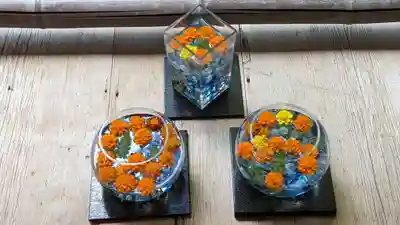 二尊院(京都府)