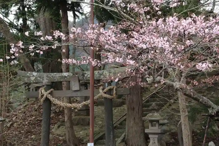 諏訪神社の鳥居