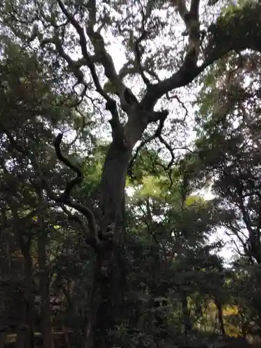 神武寺(神奈川県)