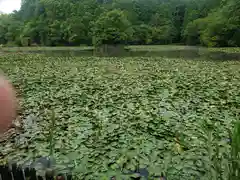 大池寺(滋賀県)