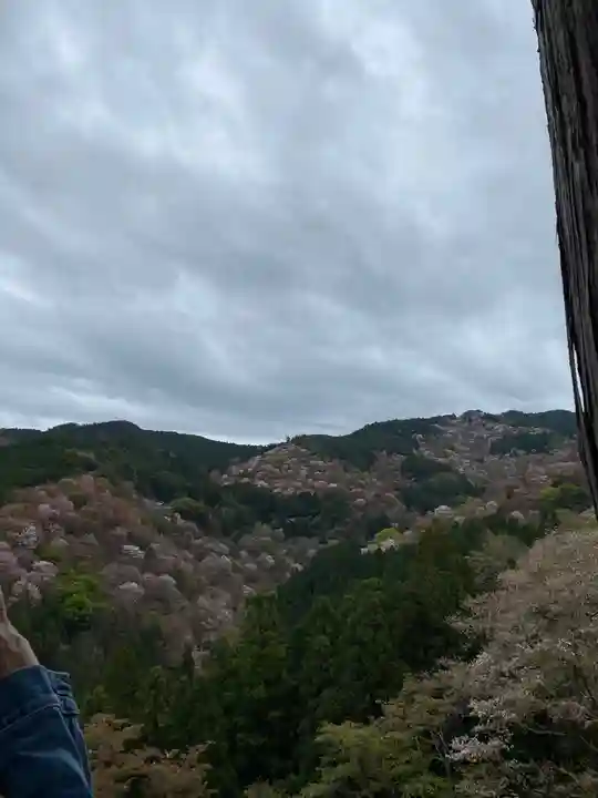 𠮷水神社(吉水神社)の景色